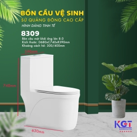 Bồn cầu 1 khối, nắp đóng êm men sứ nano chống bám 8309